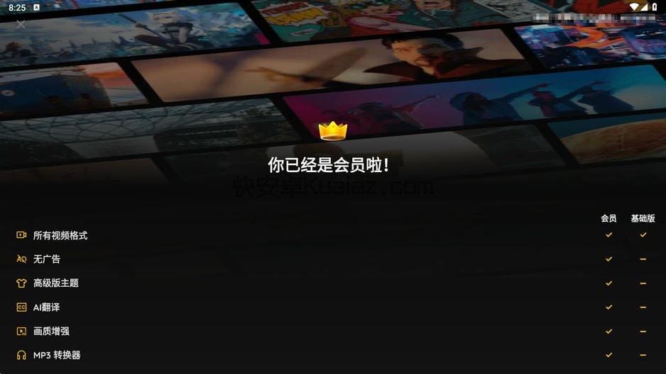 XPlayer v2.4.8.2 解锁会员 本地影音播放器 