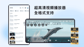 MX Player Pro v2.8.0 本地影音播放器 永久特权